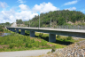 Paulertjønn Bridge
