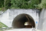 Crestas Tunnel
