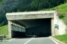 Bourg-Saint-Pierre Tunnel