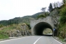 Tunnel de Chämleten