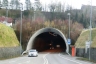 Festung Tunnel