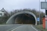 Paradisli Tunnel