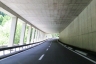Tunnel de Castasegna