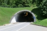 Tunnel de Promontogno