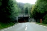 Tunnel de Solis