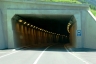 Tunnel Rotsch