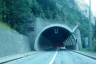 Hohtenn-Mittal-Tunnel