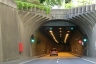 René-Konen-Tunnel