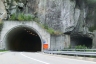 Tunnel Handegg