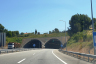 Arcozelo Tunnel