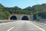 Portela Tunnel