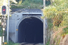 Caminha Tunnel