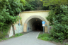 Starý Vítkovský Tunnel
