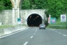 Monte Pergola-Tunnel