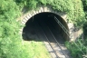 Bricco Tunnel