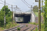 Tunnel de Campo di Trens