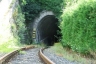 Tunnel Col du Mont