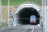 Collecervo Tunnel