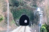 Colle di Trecallo Tunnel