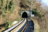 Colombino Tunnel