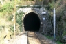 Tunnel Corenno