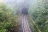 Tunnel de Cortinella