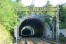 Tunnel de Del Pino