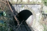 Del Porto Tunnel