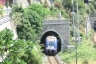 Dogana North Tunnel