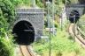 Dogana South Tunnel