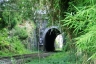 Doria Tunnel