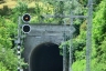 Tunnel de Fey