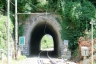 Forte Tunnel