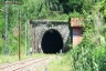 Grazzini Tunnel