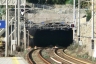 Guvano Tunnel