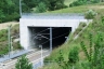 Tunnel de Laurinziano