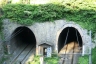 Ligia 1 Tunnel