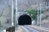 Mognatta Tunnel