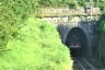 Montarioso Tunnel