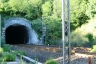 Monterosso Tunnel