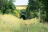 Tunnel d'Oliviera