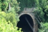 Tunnel Olivi