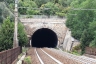 Pecorile Tunnel