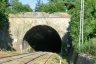 Pobbia Tunnel