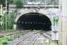 Recco Tunnel