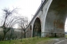 Rio Farnetola Viaduct