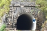 Rio Palate Tunnel