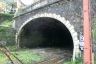 Ruta Tunnel