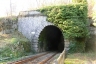 Salto del Cavallo Tunnel