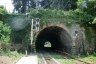Tunnel Santuario